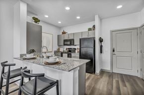 Austin apartment for rent - A modern kitchen with a black refrigerator and a granite countertop.