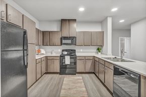 Charlotte apartment for rent - a kitchen with wooden cabinets and stainless steel appliances