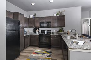 Kyle apartment for rent - A kitchen with a black refrigerator and brown cabinets.