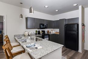 Austin apartment for rent - Open-concept kitchen featuring granite-style countertops, dark cabinetry, black appliances, and bar seating for dining or entertaining.