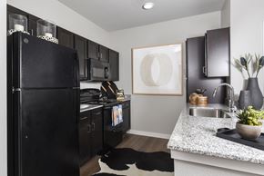 San Antonio apartment for rent - A black fridge in a kitchen with a cowhide rug on the floor.