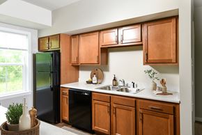 Selkirk apartment for rent - A kitchen with wooden cabinets and a black refrigerator.