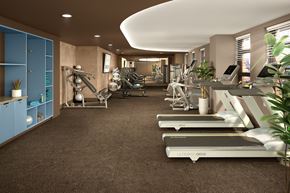 Washington apartment for rent - Modern fitness center with treadmills, strength training equipment, and a clean, well-lit workout environment.