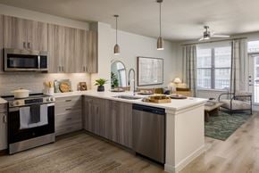 Del Valle apartment for rent - A modern kitchen with a large island and stainless steel appliances.