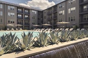 Del Valle apartment for rent - A pool surrounded by a row of agave plants.