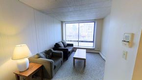 Ann Arbor apartment for rent - A living room with a grey couch, a white lamp, and a grey rug.