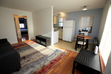 Ann Arbor apartment for rent - A living room with a black couch and a rug.