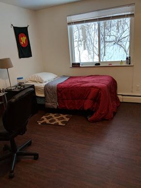 Ann Arbor apartment for rent - Bedroom 2