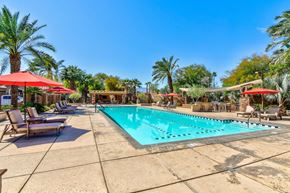 La Quinta apartment for rent - A large swimming pool surrounded by palm trees and lounge chairs.