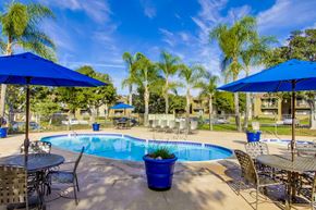 San Diego apartment for rent - Mesa Village Apartments Lifestyle - Pool Deck & Pool