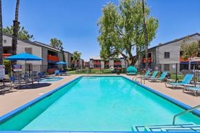 Hemet apartment for rent - A swimming pool surrounded by lounge chairs and umbrellas.