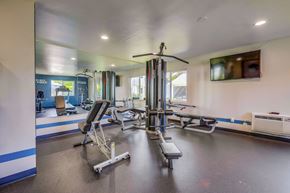 Cypress apartment for rent - A gym with a variety of equipment including a treadmill, a bench press, and a squat rack.