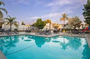 Claremont apartment for rent - A large swimming pool with a reflection of the surrounding trees.
