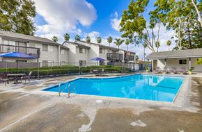 Cypress apartment for rent - the swimming pool at our apartments