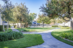 Claremont apartment for rent - A tree-lined walkway curves through a well-kept park.