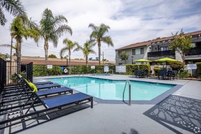 Anaheim apartment for rent - A pool surrounded by palm trees and sun loungers.