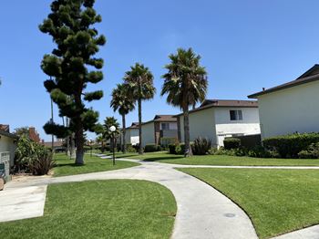Lush landscaping