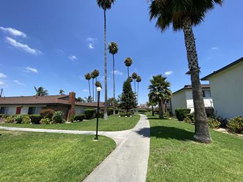 Lush landscaping