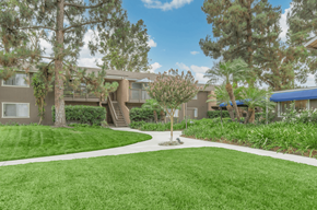 Orange apartment for rent - take a stroll through the grassy area at the whispering winds apartments in pearland, tx