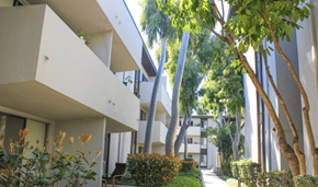 Long Beach apartment for rent - Paradise Gardens Apartments in Long Beach California