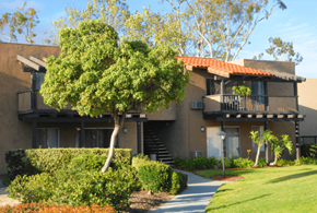 Westminster apartment for rent - A tree in front of a building with a red tile roof.