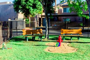 Palm Springs apartment for rent - dog park at  Villa Boutique Apartment Homes in Palm Springs California.