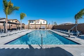 Fontana apartment for rent - A large swimming pool surrounded by palm trees and lounge chairs.