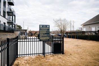 Dog park area