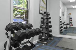 Jackson townhouse for rent - A gym with a rack of black dumbbells.