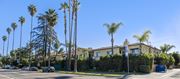 Lake Balboa apartment for rent - A row of palm trees in front of a house.