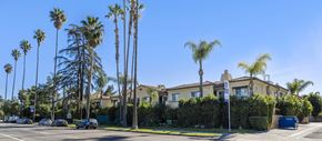 Lake Balboa apartment for rent - A row of palm trees in front of a house.