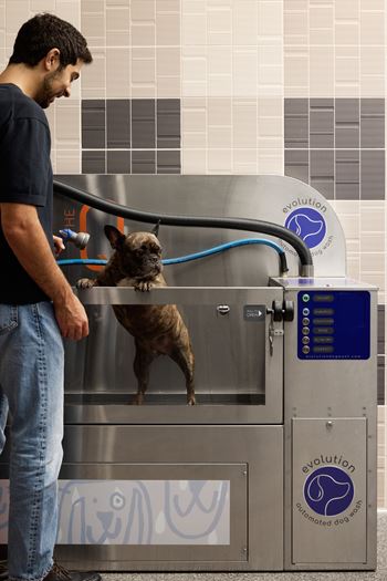 Paw spa with partnered grooming service