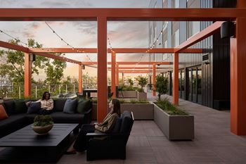 The terrace