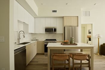 Contemporary, european style kitchen cabinets