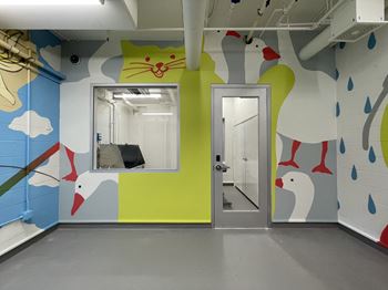 Pet spa center