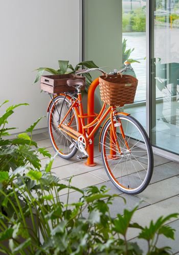 Community bicycles