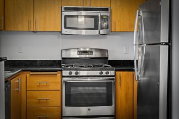 Contemporary kitchen cabinets