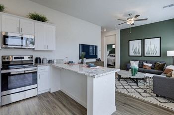 Stainless steel appliances and granite counters