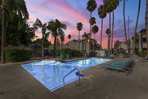 Tucson apartment for rent - A swimming pool surrounded by palm trees at dusk.