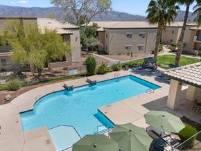 Tucson apartment for rent - A swimming pool surrounded by palm trees and umbrellas.