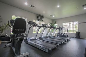Sun City apartment for rent - A gym with treadmills and a television.