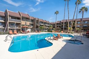 Tucson apartment for rent - A large swimming pool in front of apartment buildings with palm trees.