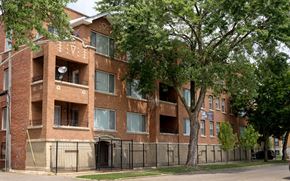 Chicago apartment for rent - a red brick building with a tree in front of it