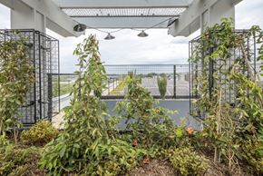 Washington apartment for rent - A patio with a pool and plants.
