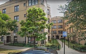 Chicago apartment for rent - a tree in front of an apartment building