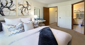 Lincoln apartment for rent - Spacious master bedroom with attached walk-in closet and master bathroom at Tanglewood Apartments in Lincoln, Nebraska