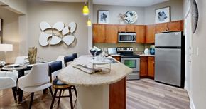 Irving apartment for rent - Luxury apartments with granite countertops, stainless appliances, large kitchen island at Delante apartments in Irving Texas