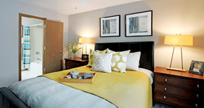 Omaha apartment for rent - Spacious master bedroom with walk-in closet, master bathroom, and gray wall color at The Vanderbilt Apartments in Omaha, Nebraska