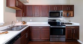 Houston apartment for rent - Spacious kitchen with stainless steel appliances and plank wood floors at Village on the Parkway Apartments