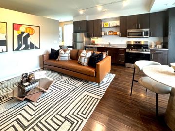 Minneapolis apartment for rent - A living room with a brown couch and a black and white rug.